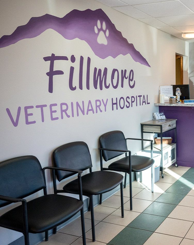 Fillmore Veterinary Hospital Reception