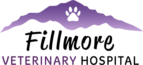 Fillmore Veterinary Hospital